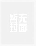 明朝是中国最后一个汉人王朝